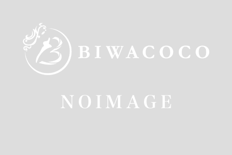 サロンド BiGi